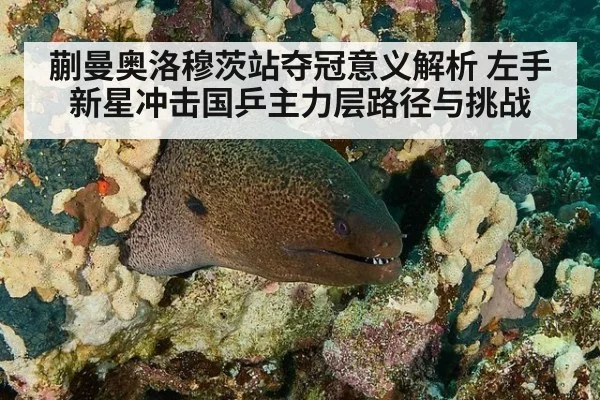 蒯曼奥洛穆茨站夺冠意义解析 左手新星冲击国乒主力层路径与挑战