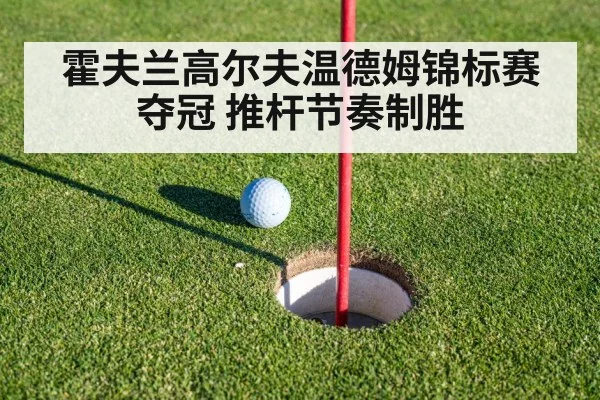 霍夫兰高尔夫温德姆锦标赛夺冠 推杆节奏制胜