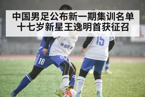 中国男足公布新一期集训名单 十七岁新星王逸明首获征召