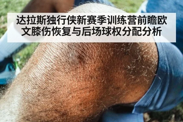 达拉斯独行侠新赛季训练营前瞻欧文膝伤恢复与后场球权分配分析